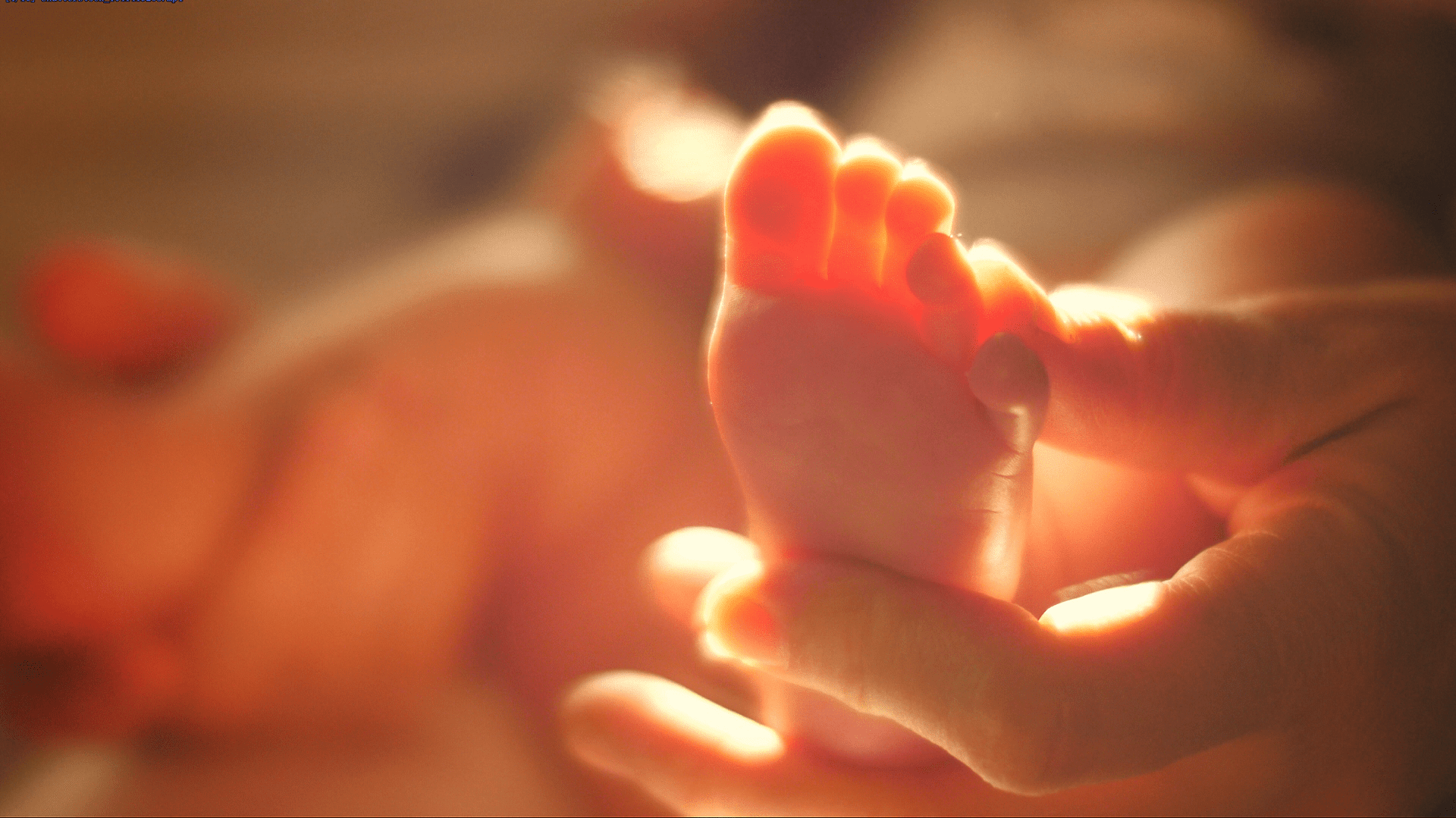 baby's foot held by mom